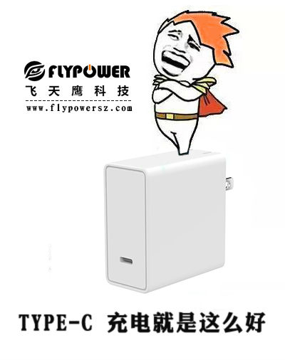 type-c充電器