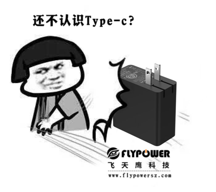 type-c充電器