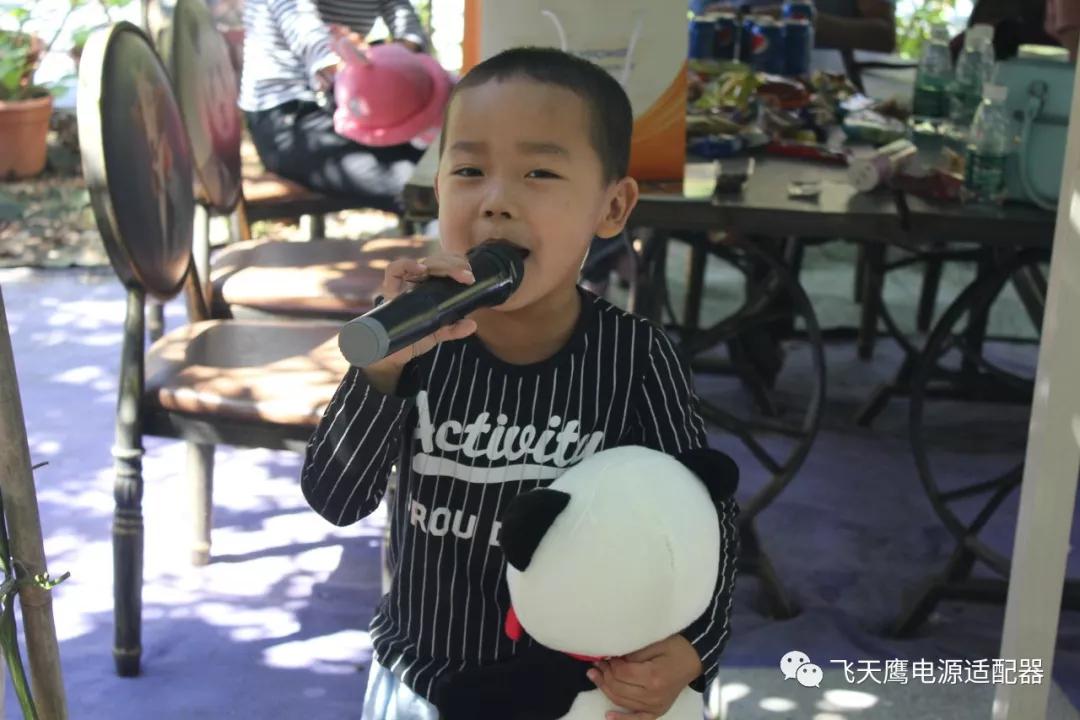 飛天鷹電源適配器廠家