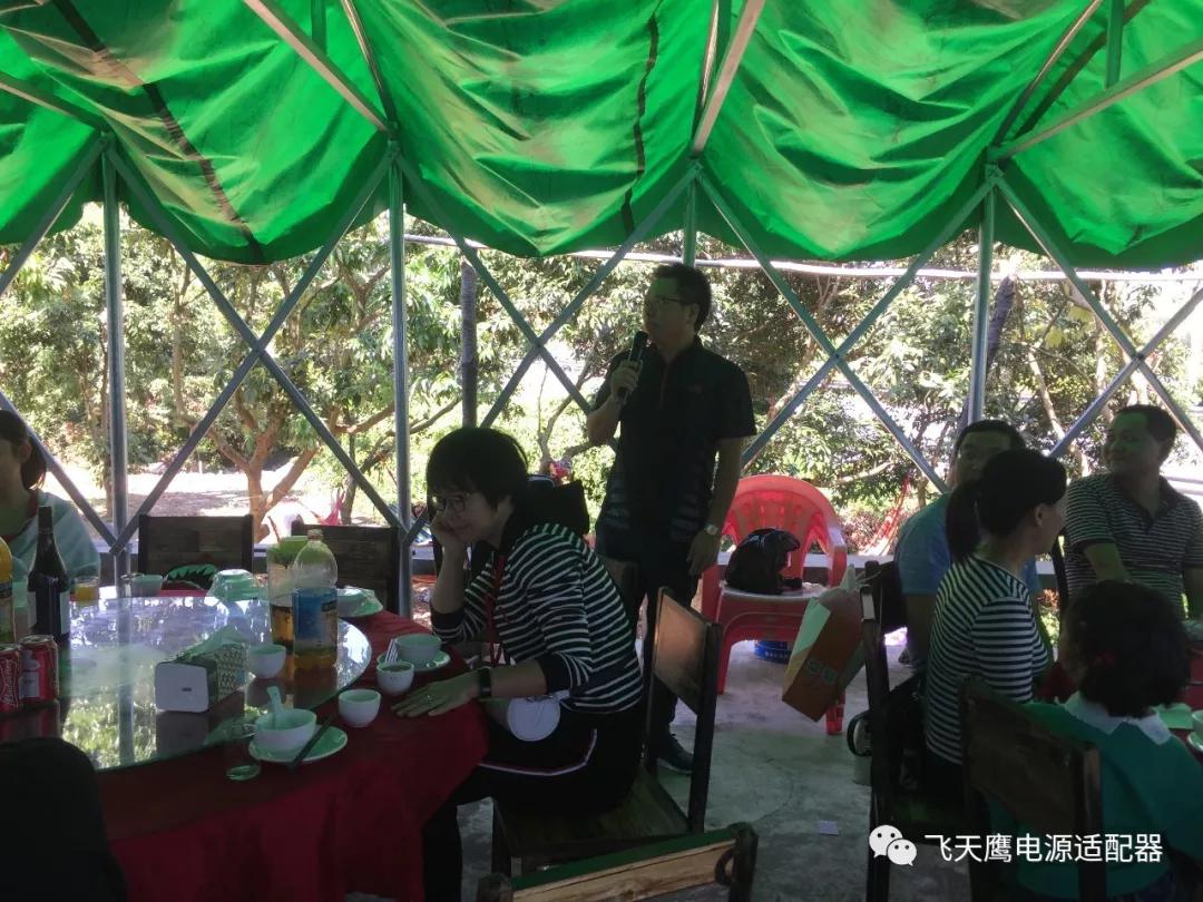 飛天鷹電源適配器廠家